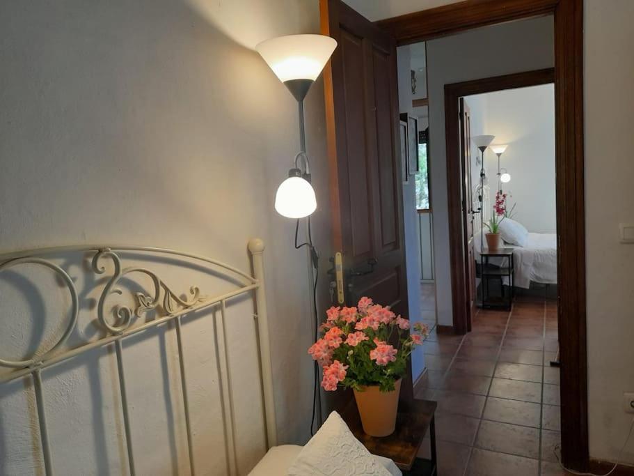 Casa De Las Lavandas, Ávila Zewnętrze zdjęcie